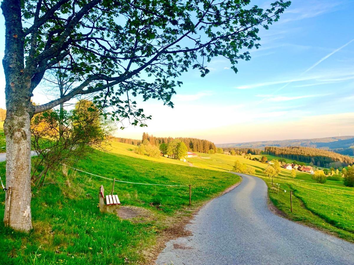 Fewo Fuchs Saig Lenzkirch Luaran gambar