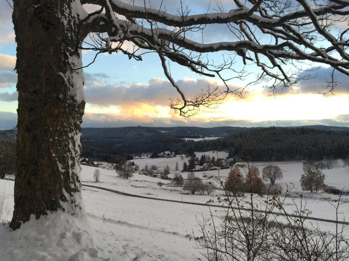 Fewo Fuchs Saig Lenzkirch Luaran gambar
