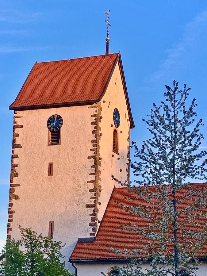 Fewo Fuchs Saig Lenzkirch Luaran gambar